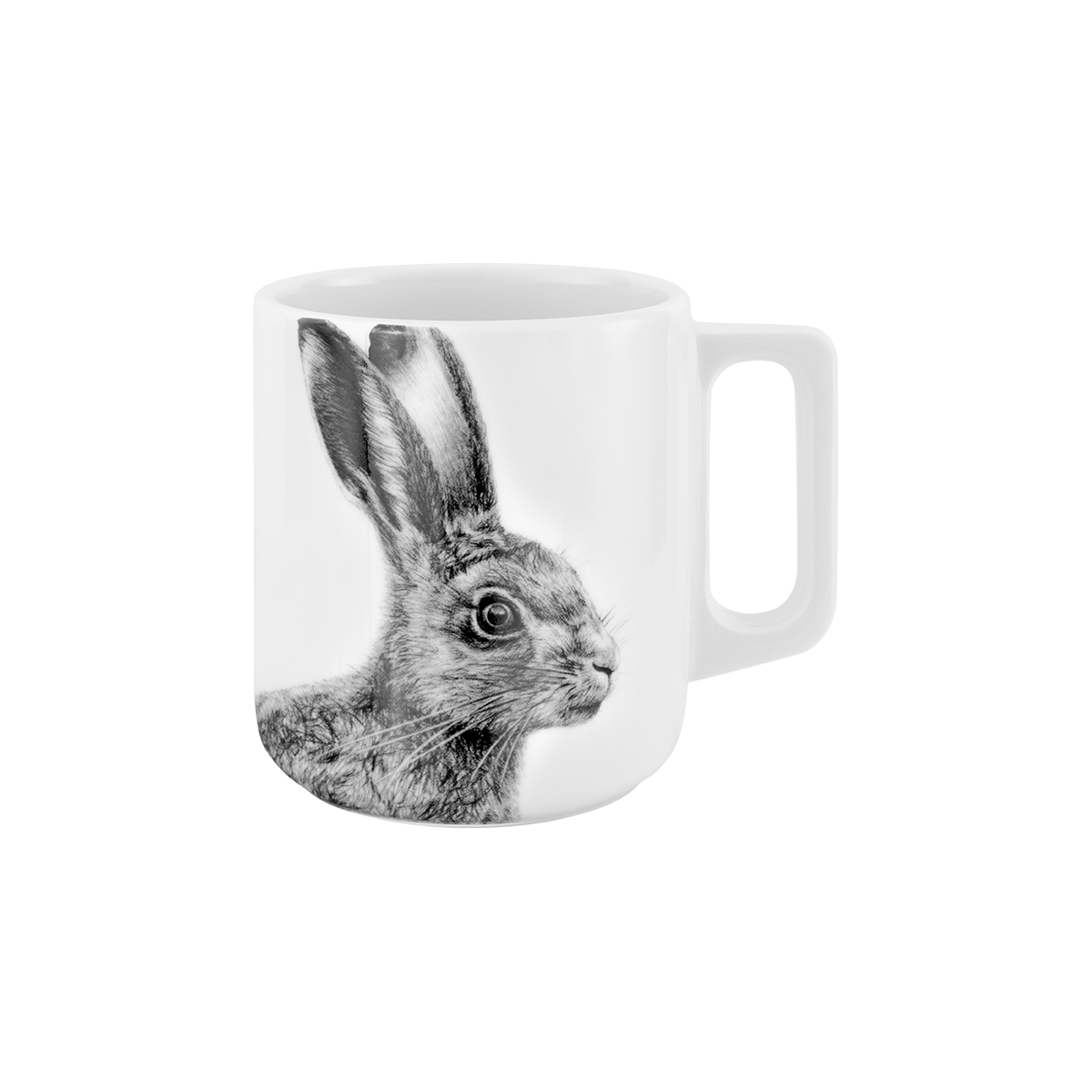 hase .