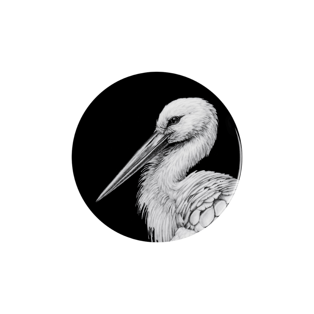storch porträt auf schwarz .