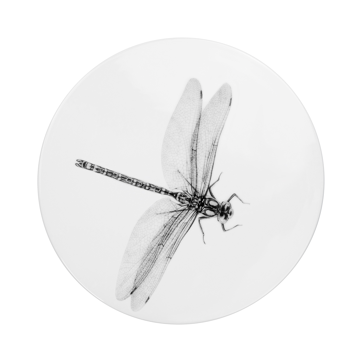 libelle .